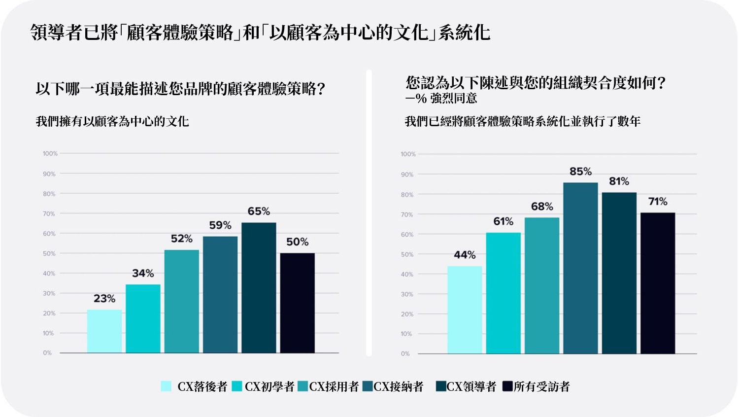 領導者擁有明確的客戶體驗策略和以客戶為中心的文化。